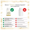 Riboflavin (vitamin B2), Rosemary leaf and grapefruit, CelluSun with NutroxSun capsules