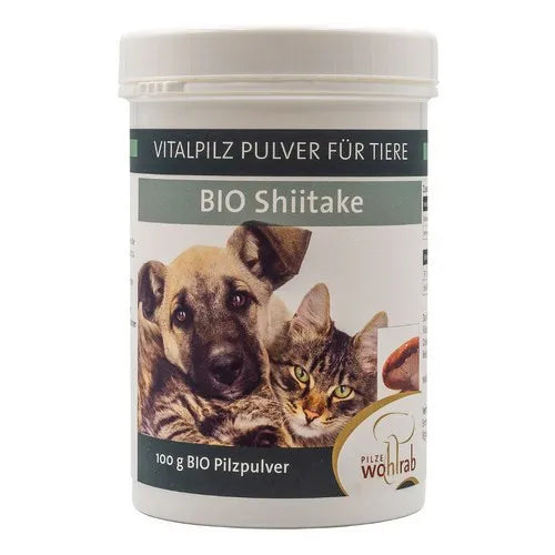 SHIITAKE ORGANIC medicinal mushroom powder for animals