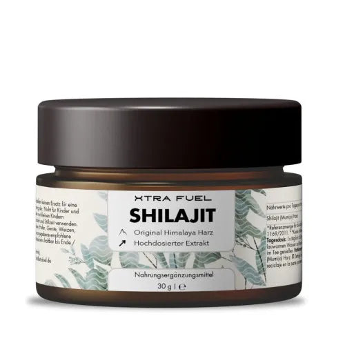 SHILAJIT Resin Paste