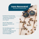 TRANS-RESVERATROL + French grape seed extract OPC 60 tablets - 2