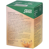 TURMERIC TEA Ginger & Cinnamon Organic Salus Filter Bags 15 pcs