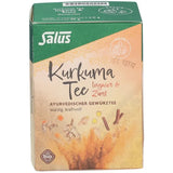 TURMERIC TEA Ginger & Cinnamon Organic Salus Filter Bags 15 pcs
