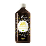 VITA BIOSA ginger liquid