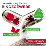 Veno Balance Phytocomplex Connective Tissue Capsules