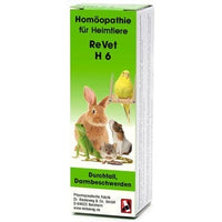 Acute and chronic diarrhea, gastroenteritis, intestinal complaints, REVET H 6 globules for pets UK