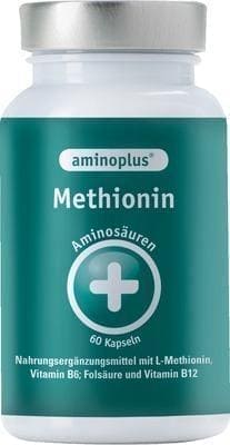 AMINOPLUS methionine plus vitamin B complex capsules 60 pcs UK
