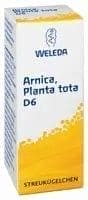 ARNICA PLANTA tota D 6, Arnica montana globules UK