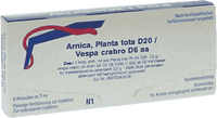 ARNICA PLANTA tota, Vespa Crabro ampoules, diseases of the musculoskeletal system UK