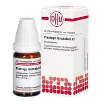 Asthma, tuberculosis, PLANTAGO LANCEOLATA C 9 globules UK