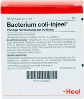 BACTERIUM COLI Injeel ampoules UK