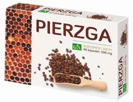 Bee bread and apple fiber (Pierzga) x 48 capsules UK