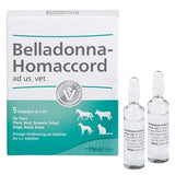 BELLADONNA HOMACCORD ad us.vet.ampoules UK