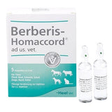 BERBERIS HOMACCORD ad us.vet.ampoules UK