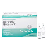 BERBERIS HOMACCORD ad us.vet.ampoules UK