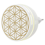 best home fragrance plug ins Aroma Fragrance Plug-in Easy 1 pc