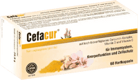 CEFACUR, curcumin complex, vitamin D3 and vitamin C UK