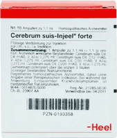 CEREBRUM SUIS Injeel forte ampoules, ischemic stroke UK