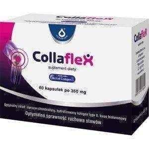 COLLAFLEX x 60 capsules, osteoarthritis treatment, collagen type 2 UK