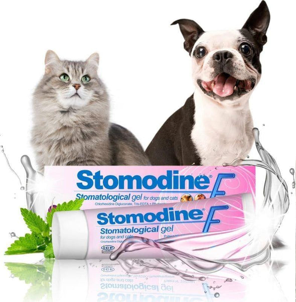 Dog toothpaste Stomodine F Dental gel for dogs and cats UK