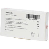 ECHINACEA D 4 ampoules UK