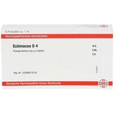 ECHINACEA D 4 ampoules UK