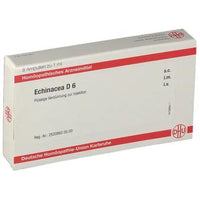 ECHINACEA D 6 ampoules UK