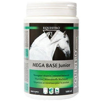 EQUISTRO Mega Base junior liquid for horse, foals 1 L UK