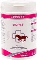 EQUOLYT Horse Powder UK