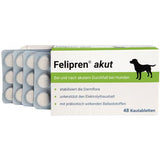 FELIPREN acute chewable tablets for and after diarrhea for dogs UK