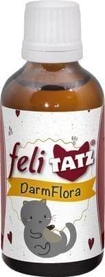 FELITATZ intestinal flora resultant feed liquid for cat, cats 50 ml UK