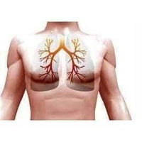 Flavamed Cough Tablets N20 bronchial disease, pulmonary UK