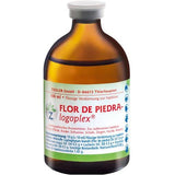 FLOR DE PIEDRA-LOGOPLEX injection solution vet. UK