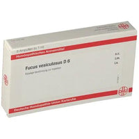 FUCUS VESICULOSUS D 6 ampoules UK