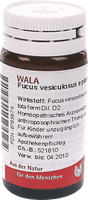 FUCUS VESICULOSUS homeopathy, obesity, goitre UK