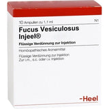 FUCUS VESICULOSUS INJEEL ampoules UK