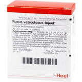 FUCUS VESICULOSUS INJEEL ampoules UK