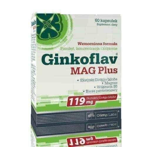 GINKOFLAV MAG PLUS x 60 capsules, memory supplements UK