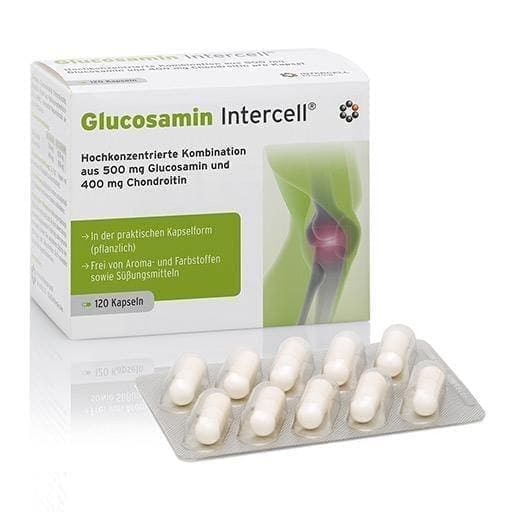 GLUCOSAMINE Chondroitin INTERCELL vegetable capsules 120 pcs UK