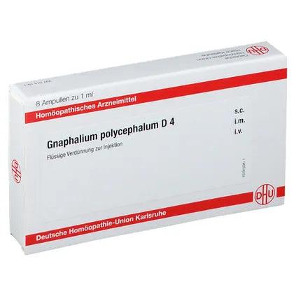 GNAPHALIUM POLYCEPHALUM D 4 ampoules UK