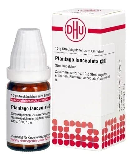 Hemoptysis, asthma, tuberculosis, PLANTAGO LANCEOLATA C 200 globules UK