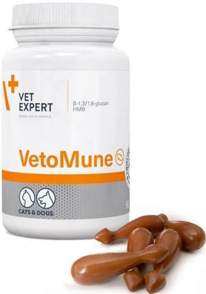 How to increase a dog's immune system, cats, VetoMune UK