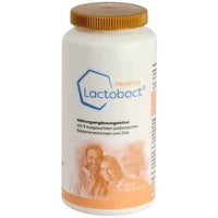 LACTOBACT Premium capsules 300 pcs UK
