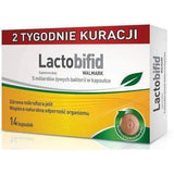 LACTOBIFID x 10 + 4 capsules best probiotic supplements UK