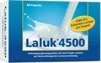 LALUK 4500 capsules, enzyme lactase to support lactose digestion UK