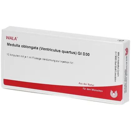 MEDULLA OBLONGATA Ventriculus quartus GL D 30 Ampoules UK