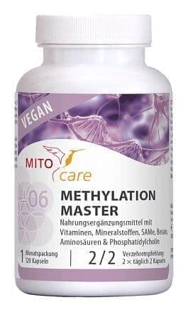 METHYLATION MASTER, pullulan, What is pullulan? L-carnitine, L -Methionine UK