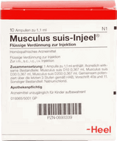 Myotonia, muscular dystrophy, atrophy, debility, MUSCULUS SUIS Injeel ampoules UK