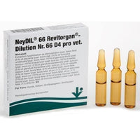 NEYDIL No. 66 Revitorgan Dil.D 4 per ampoule vet. 5X2 ml tumor diseases UK