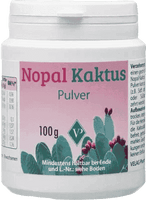 NOPAL cactus powder UK