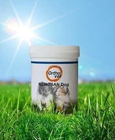 ORTHOVET Renosan Dog Powder, natural support of the kidney UK